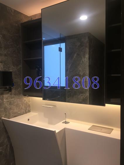 Cairnhill Nine (D9), Apartment #138548872